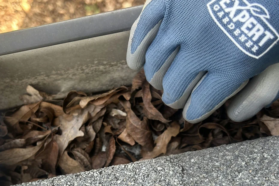 Gutter Cleaning Keene