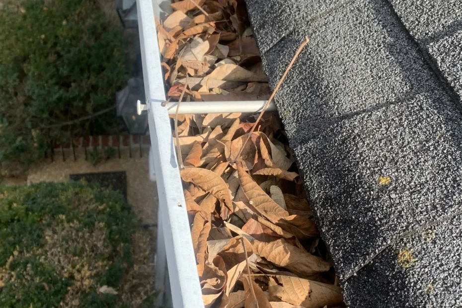 Gutter Cleaning Keene